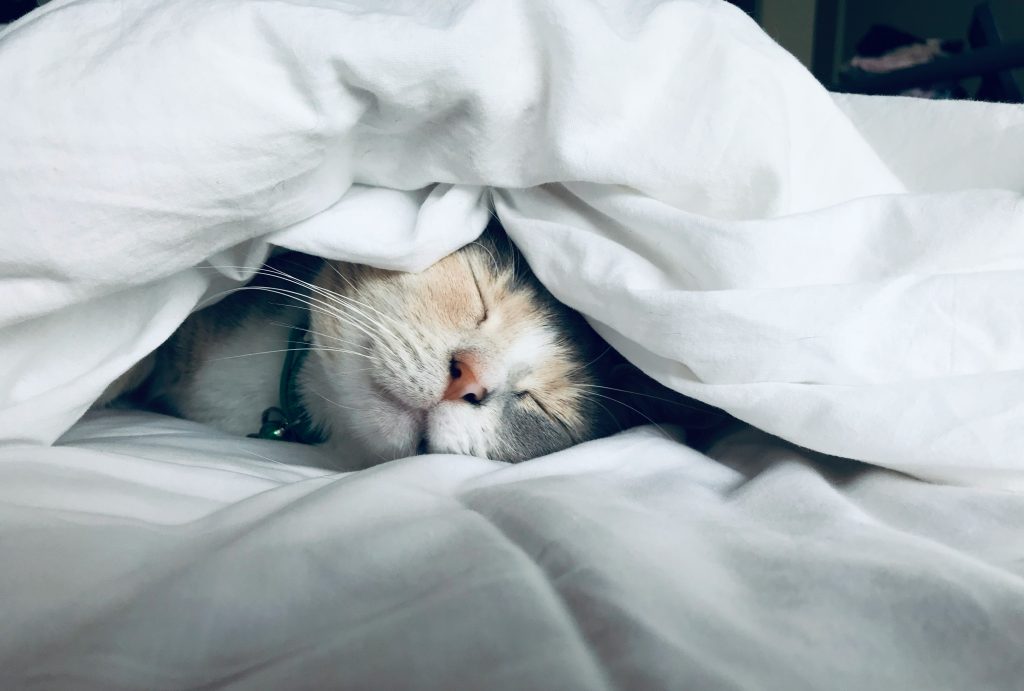 Retrouver un sommeil réparateur grâce à l’auto-hypnose à Toulouse